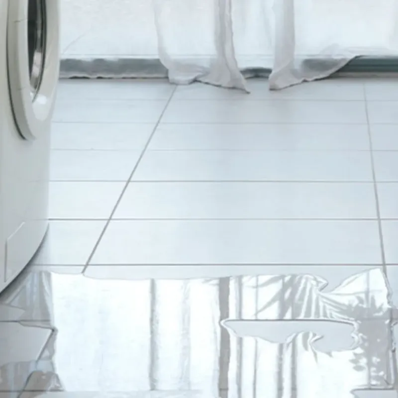 Appliance Leak Cleanup in La Plata, MD